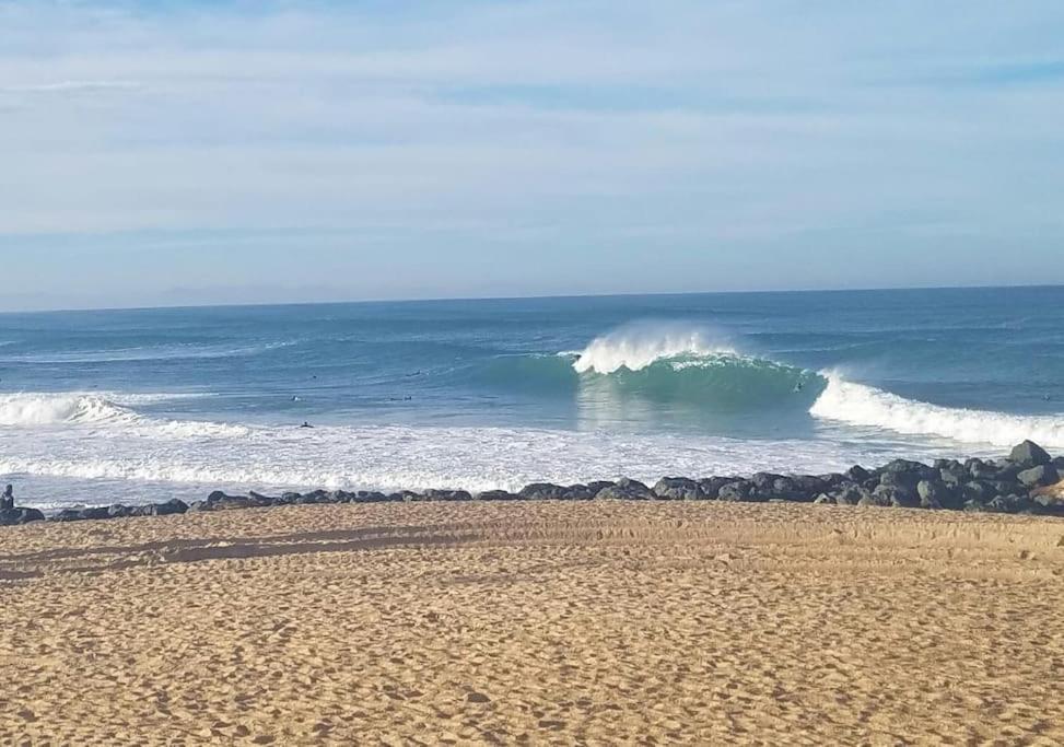 Appartement A 70M De La Plage Et L Estacade De Capbreton Luaran gambar